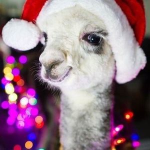 Meet your Posher, Jack